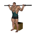 Squat - Box